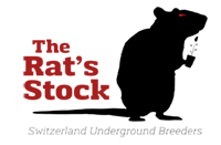 Logo The Rat’s Stock