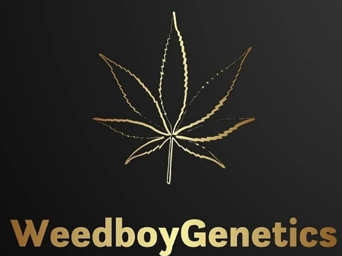 Logo WeedboyGenetics