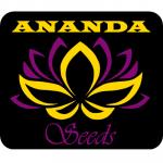 Logo Ananda Seeds