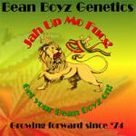 Logo Bean Boyz Genetics