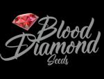 Logo Blood Diamond Seeds