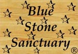 Logo Blue Stone Sanctuary