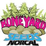 Logo Boneyard Seeds Norcal