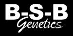 Logo BSB Genetics