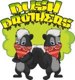 Logo Bush Brothers Seeds