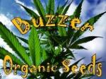 Logo Buzzer Organic Seeds