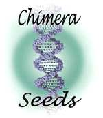 Logo Chimera Seeds