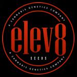 Logo Elev8 Seeds
