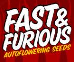 Logo Fast & Furious Seeds