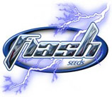 Logo Flash Seeds