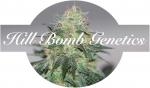 Logo Hill Bomb Genetics