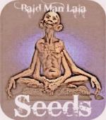 Logo Bald man Lala Seeds