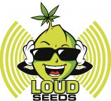 Logo Loud Seeds