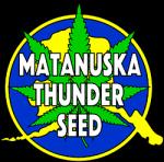 Logo Matanuska Thunder Seeds