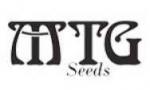 Logo MTG Seeds