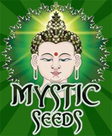 Logo Mystic Seeds