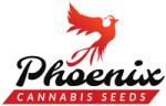 Logo Phoenix Seeds