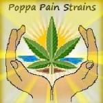 Logo Poppa Pain Strains