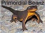 Logo Primordial Beanz