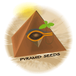 Logo Pyramid Seeds