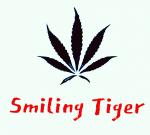Logo Smiling Tiger