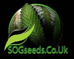 Logo SOG Seeds