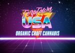 Logo Terptown USA