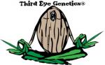 Logo Third Eye Genetics