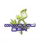Logo Unnamed Gen