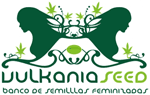 Logo Vulkania Seeds