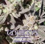 A.B. Seed Company Cookeys