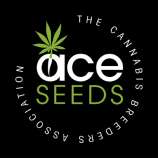 ACE Seeds Bubba Kush x Hashplant