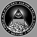 Alchemy Genetics Trillium OG