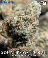 Aura Genetix Sour Lemon Punch