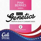 Aztech Genetics Pink Berries Auto