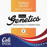 Aztech Genetics Tangie Crush
