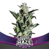 BSF Seeds Darth Haze