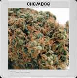 Blim Burn Seeds Chemdog #4