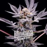 Blim Burn Seeds Zoap