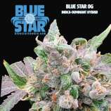 Blue Star Seed Co Blue Star OG