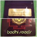 Bodhi Seeds Time Benderl