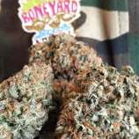 Boneyard Seeds Norcal Nana's Cookies