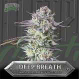 Bulletproof Genetics Deep Breath