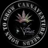 CannaVenture Seeds 425