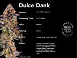 Compound Genetics Dulce Dank