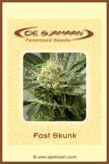 De Sjamaan Fast Skunk