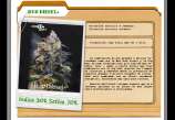 D+Calidad Seeds Bud Diesel+