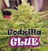 Dr. Underground Godzilla Glue 4
