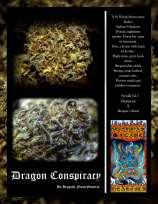 Dragons Flame Genetics Dragon Conspiracy