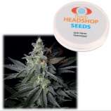 Dutch-Headshop Jack Herer